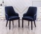 Kwality Imports Yolda 2-Piece Blue Accent Chair Set-1