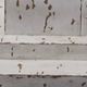 Signature Design by Ashley® Madsbrook Antique White Floor Lamp-3