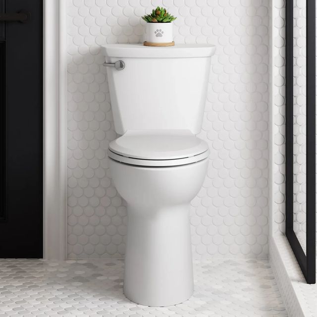 American Standard Cadet® White PRO Two-Piece Extra Tall Height Elongated Toilet Less Seat-3