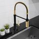 ZLINE Autograph Edition Champagne Bronze/Matte Black Sierra Pull Down Spring Single Handle Kitchen Faucet-2