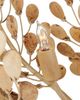 Currey & Company Maypan Coco Cream Chandelier-4