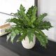 Uttermost® Verdure Fern Green Centerpiece in Glazed Pot-1