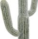 A & B Home Green Artificial Saguaro Cactus in Black Pot-1