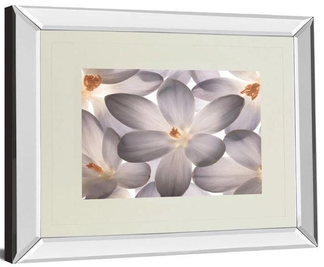 Classy Art Petal Perfect by Assaf Frank Mirror Framed Wall Art-1