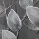 Olliix by Madison Park Grey Branches 2 Piece Reclaimed Grey Print on Wood with Handpaint Set-2