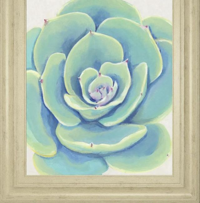 Classy Art Pastel Succulent IV by Tim OToole Wall Art-1
