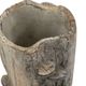 A & B Home Nickel 14" Planter With Mushroom-3