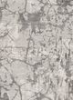 Signature Design by Ashley® Tobinbury Gray 8'x10' Area Rug-4