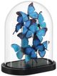 Currey & Company Rue de Bac Blue Medium Butterflies-1
