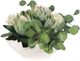 Uttermost® Protea Blooms Green/White Centerpiece-4