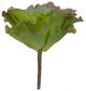 A & B Home Green Giant Succulent Leaf Pick-0