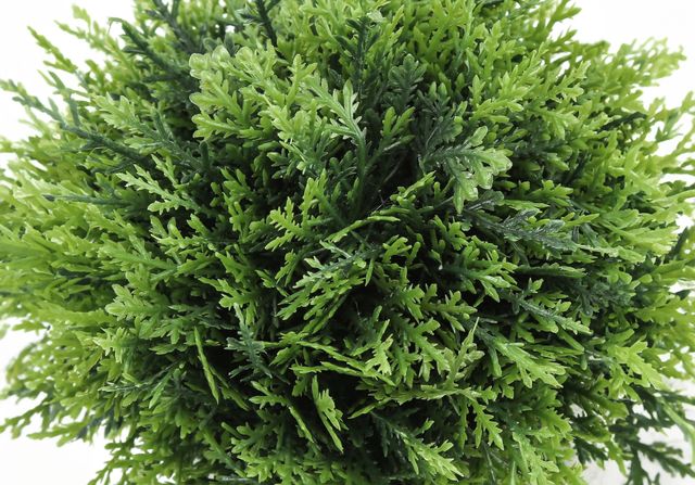 Monarch Specialties Inc. 3-Piece Taupe  5" Tall Artificial Potted Grass-2