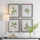 Uttermost® Wildflower Study 4-Piece Framed Print Set-1