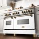 ZLINE Autograph Edition 60" Stainless Steel Pro Style Dual Fuel Range with White Matte Door-1