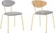 Armen Living Neo 2-Piece Gray Dining Chairs-3