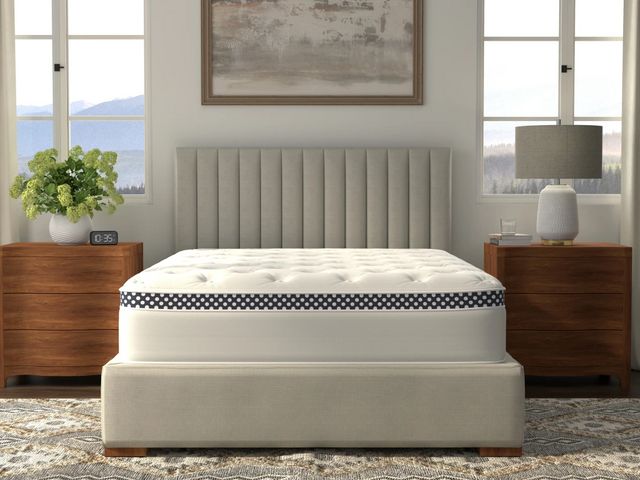 WinkBeds 13.5" Wrapped Coil Plush Euro Top Queen Mattress in a Box-4