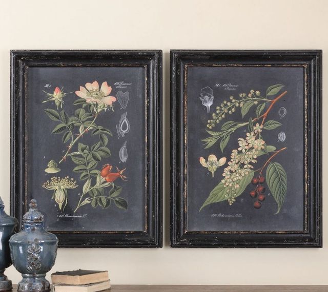 Uttermost® Vision Studio 2-Piece Midnight Botanicals Framed Prints Set-1