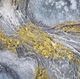 YHD Ornate in Nature Wall Art-4