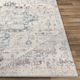 Surya Ankara 6'7" Rug-1