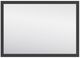 Signature Design by Ashley® Cadmori Black Bedroom Mirror-0