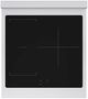 ZLINE Autograph Edition Paramount 24" Satin Stainless Steel Pro Style Induction Range with Champagne Bronze Accents-2