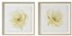 Olliix by Madison Park Signature Ivory Ladies Rose 2 Piece Ivory Glass Framed Graphic Single Floating Mat Set-0