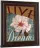 Classy Living Kelly Donovan Live your Dream Wall Art-3