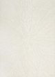 Nourison Home™ Ma30 Star Ivory 5'x7' Style 3 Area Rug-0