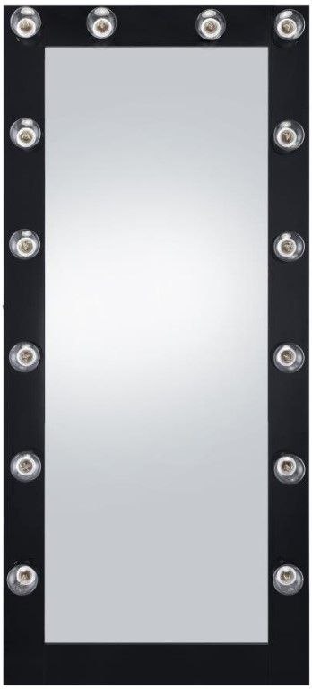 Coaster® Zayan Glossy Black Floor Mirror-2