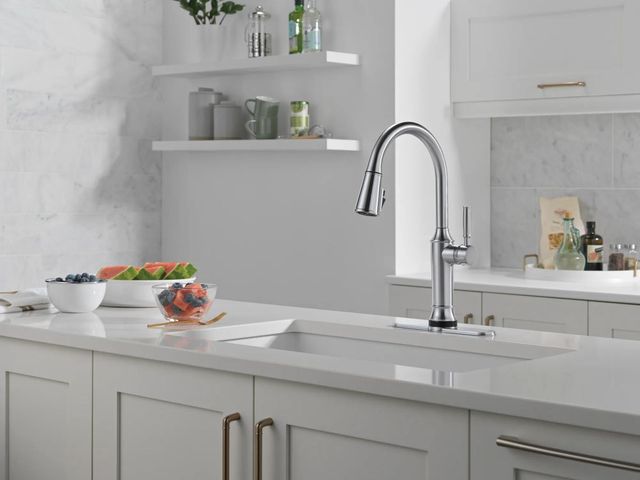 Delta Renaldi® Lumicoat® Arctic Stainless Touch2O® Technology Spring Kitchen Faucet with Touchless Technology-1