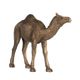 A & B Home Copper Camel-2