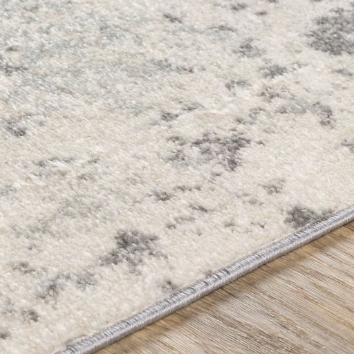 Surya Chester Medium Gray/White 5'x7' Area Rug-1