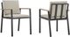 Armen Living Nofi 2-Piece Charcoal/Taupe Aluminum/Fabric Outdoor Dining Arm Chair Set-0