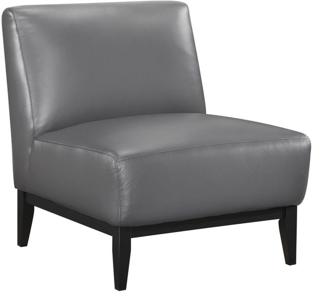 Mazin Furniture Houghton Dark Gray Accent Chair-0