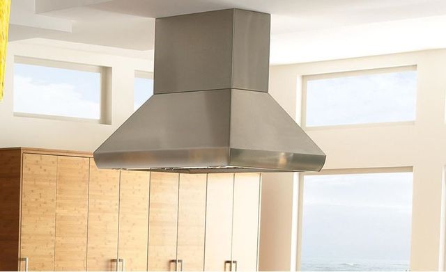 Wolf® Pro 42" Stainless Steel Island Ventilation Hood-1