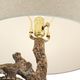 Pacific Coast® Lighting Muir Woods Natural Table Lamp With Night Light-2