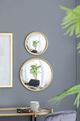 A & B Home Hannes Gold Convex Mirror-4