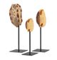 Currey & Company Turtle 3-Piece Dark Brown/Antique Brown/Black Shells Set-1