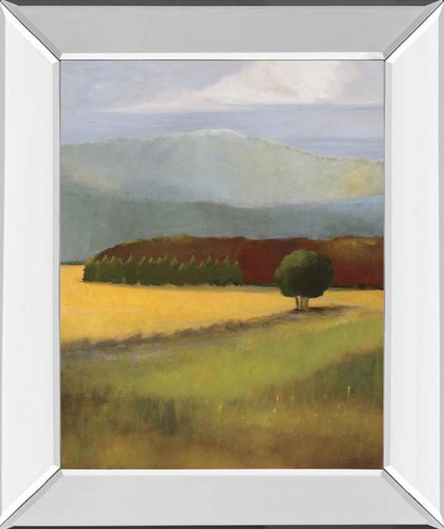 Classy Art Field of Gold by Judith D’Agostino Wall Art-0