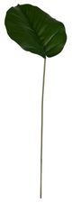 A & B Home Green Palm Frond-0