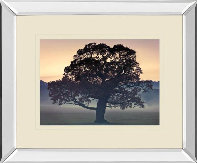 Classy Art Evening Wisdom by Assaf Frank Mirror Framed Wall Art-0