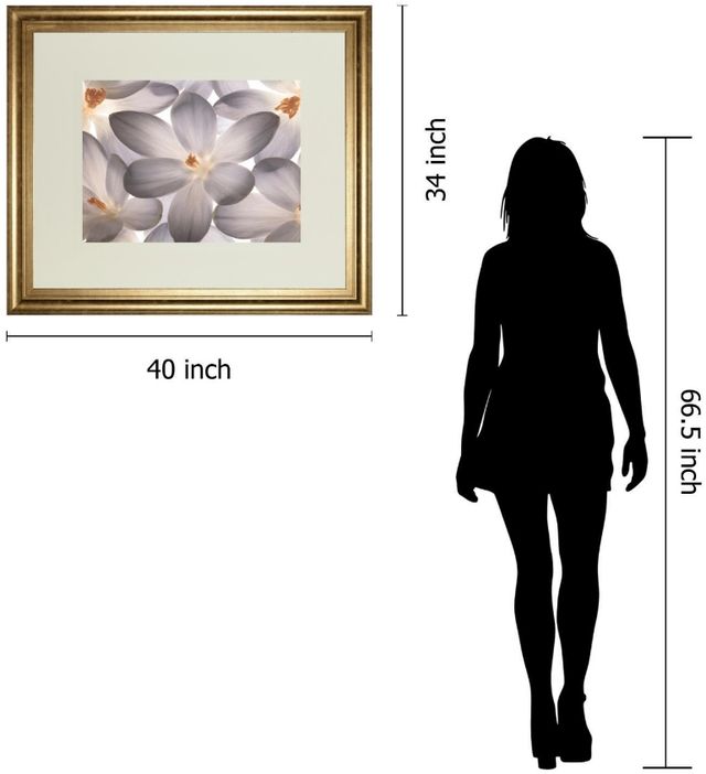 Classy Living Assaf Frank Petal Perfect 40"W Wall Art-2