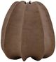 Dovetail Furniture Elm Light Brown Vase-0