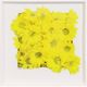 Stylecraft Epoxy Blooms III Wall Art-0