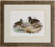 Stylecraft Waterbird Pairing III Beige/Brown/Gray/White Wall Art-0