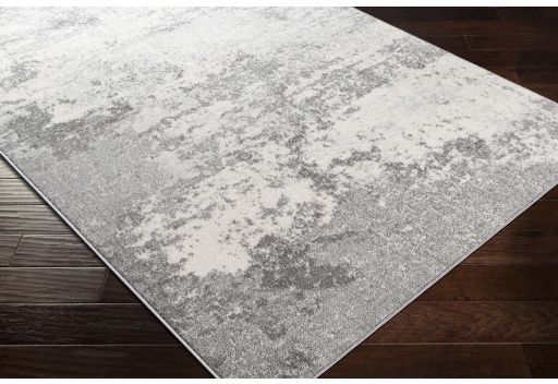 Surya Chester Medium Gray/White 8'x10' Area Rug-3
