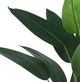 A & B Home Green 71" Birds of Paradise Tree in Pot-2