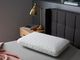 Tempur-Pedic® TEMPUR-Adapt® Cloud + Cooling Standard Bed Pillow-1