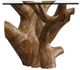 Modus Furniture One Glass Top End Table with Natural Base-3