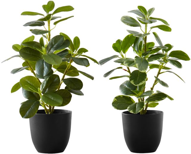 Monarch Specialties Inc. 2-Piece Black 14" Tall Artificial Potted Ficus-0